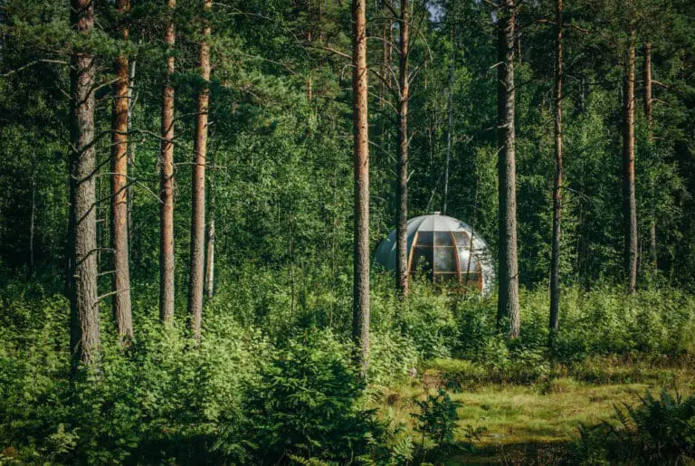 Купольный шатер Freedome