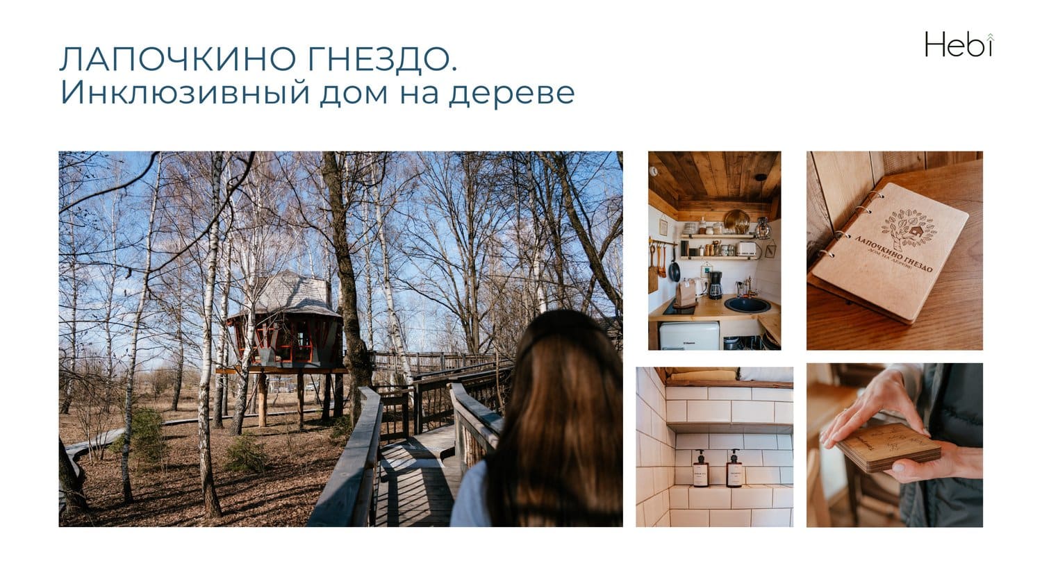 Иллюстрация к статье купольный шатер Freedome