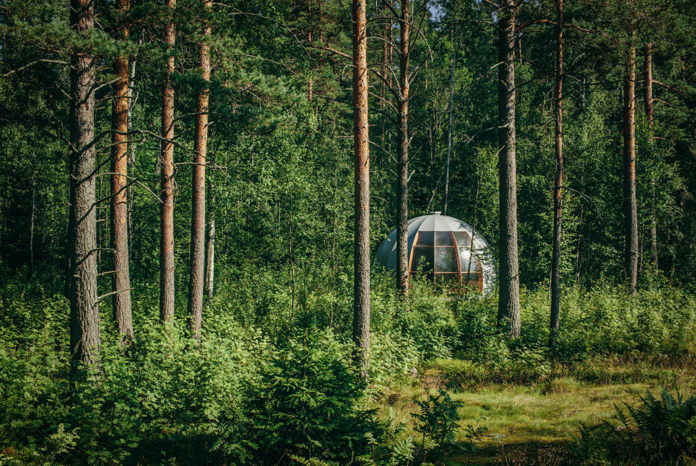Купольный шатер Freedome